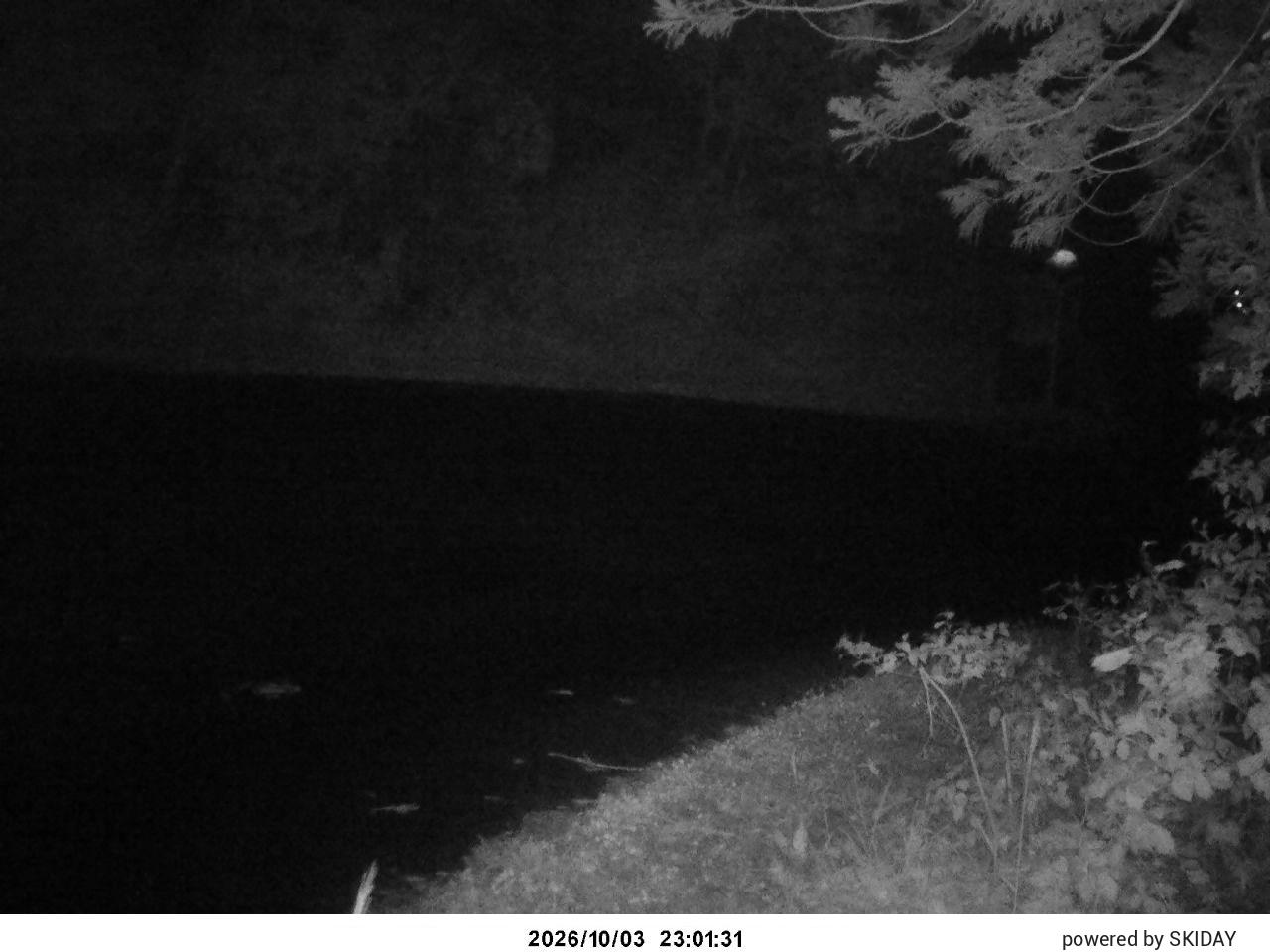 Karuizawa Prince D1 Prince Slope snow cam captured at 3 October 2026 at 11:29 pm GMT+9