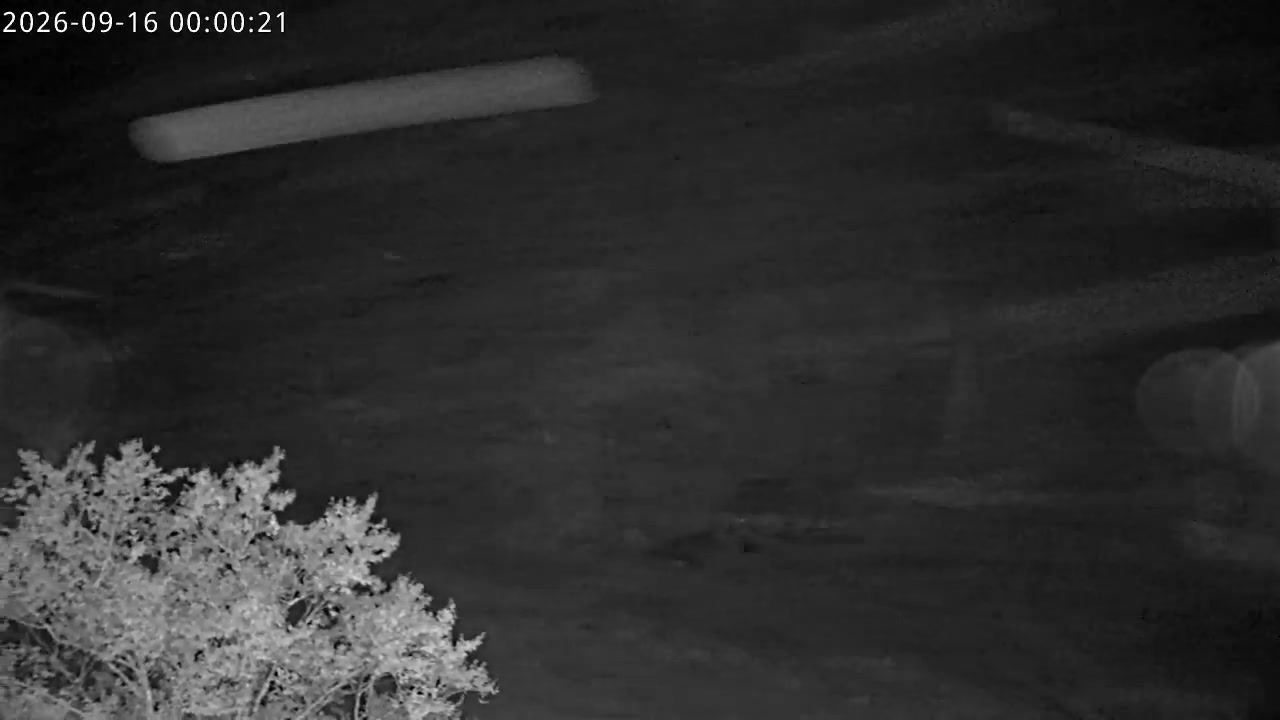 Kashimayari archive representative frame captured at 16 September 2026 at 1:56 am AEST
