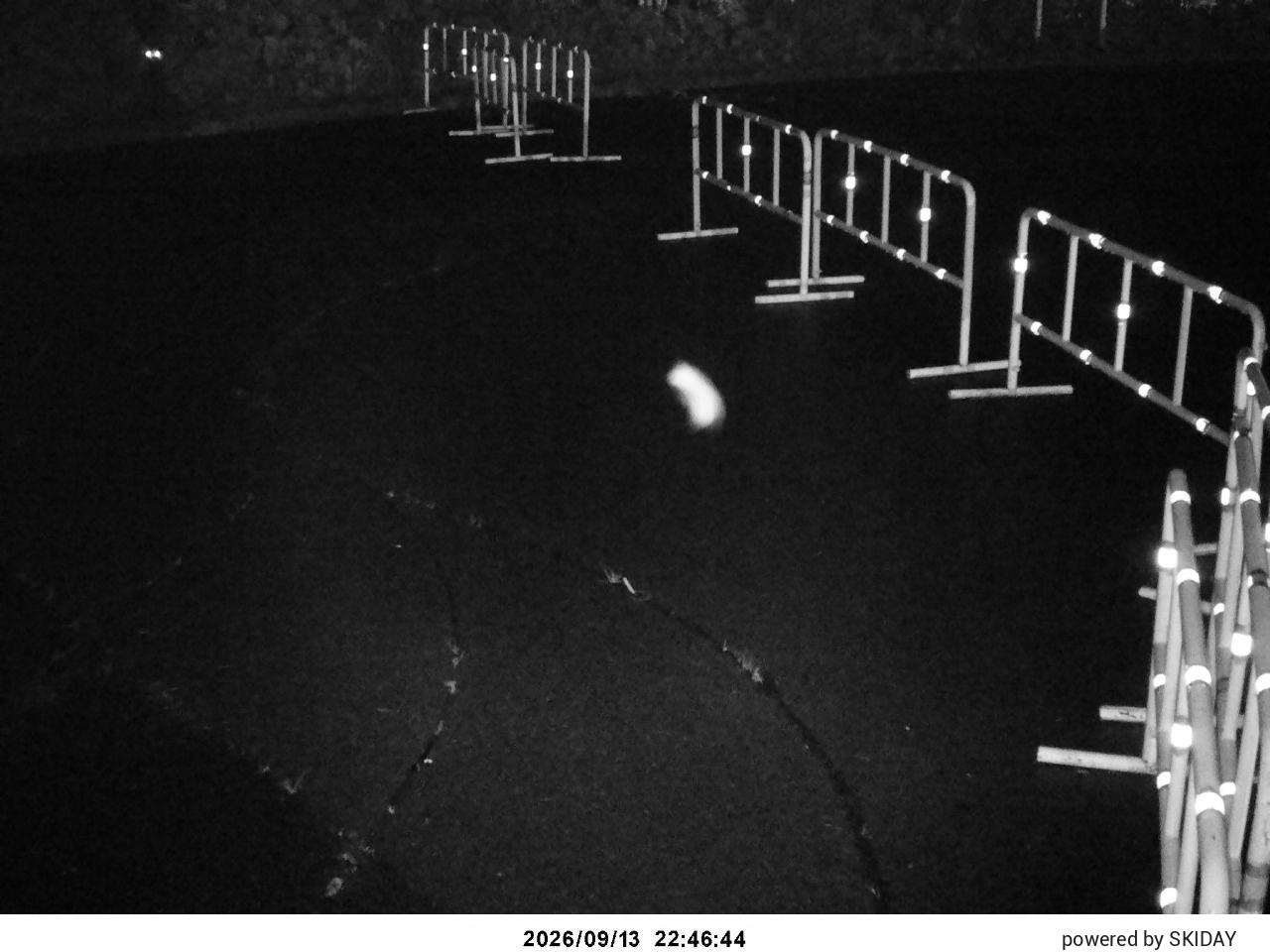 Madarao Snowfall Conditions snow cam captured at 13 September 2026 at 11:49 pm GMT+9