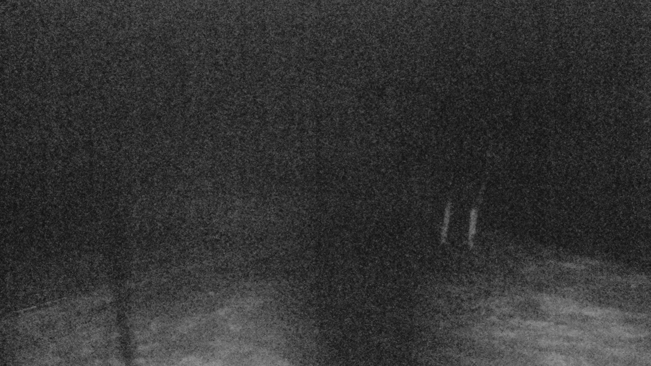 Nozawa Onsen Paradise Slope snow cam captured at 2 October 2026 at 11:47 pm GMT+9