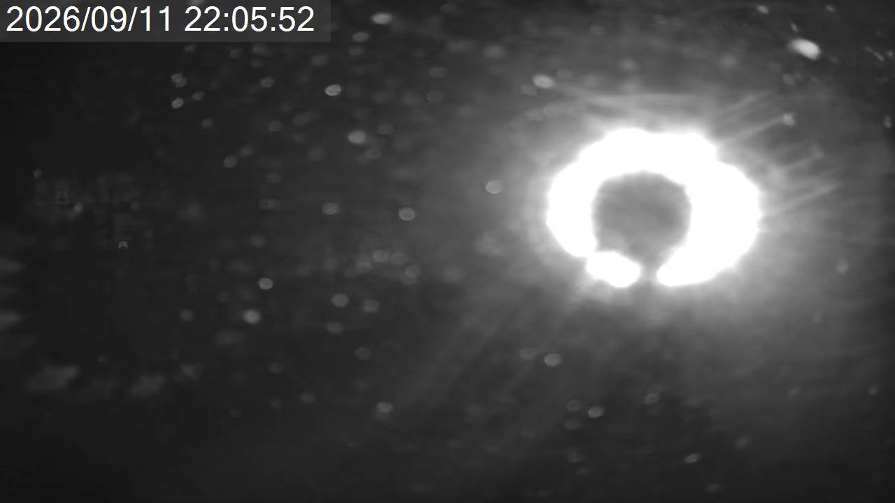 Pilatus Tsuboniwa View · Tsuboniwa Station · 2,237m snow cam captured at 11 September 2026 at 11:02 pm GMT+9