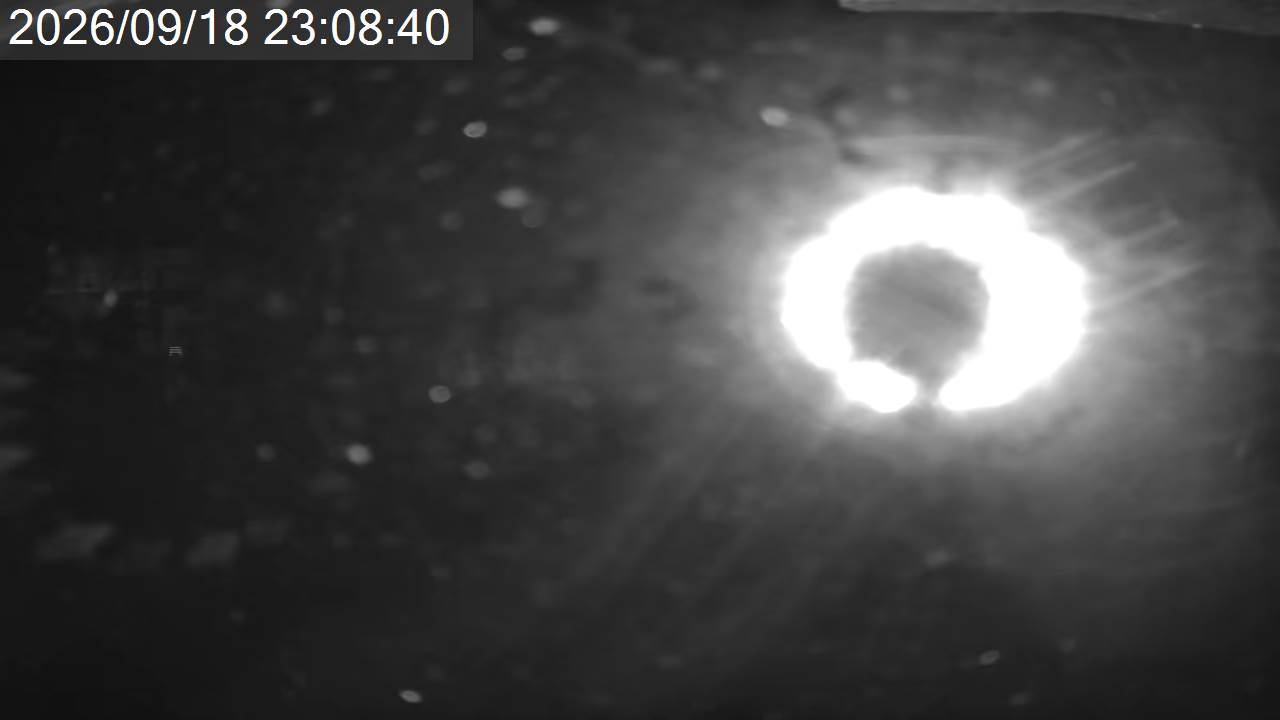 Pilatus Tsuboniwa View · Tsuboniwa Station · 2,237m snow cam captured at 18 September 2026 at 11:12 pm GMT+9