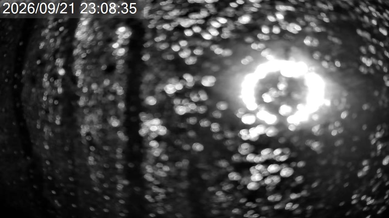 Pilatus Tsuboniwa View · Tsuboniwa Station · 2,237m snow cam captured at 21 September 2026 at 11:42 pm GMT+9