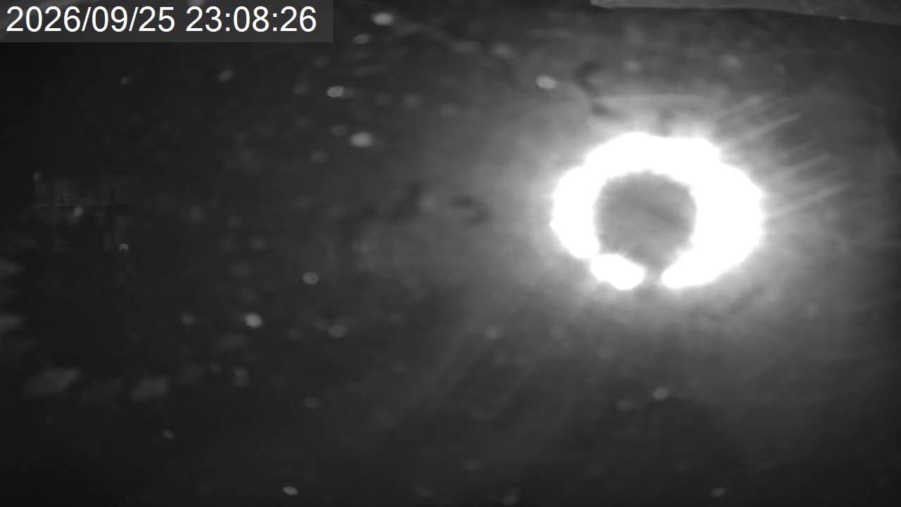 Pilatus Tsuboniwa View · Tsuboniwa Station · 2,237m snow cam captured at 25 September 2026 at 11:41 pm GMT+9