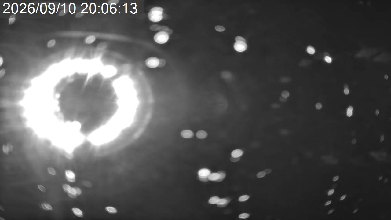 Pilatus Southern Alps View · Tsuboniwa Station · 2,237m snow cam captured at 10 September 2026 at 11:34 pm GMT+9