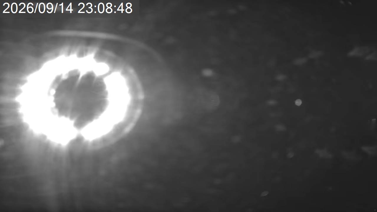 Pilatus Southern Alps View · Tsuboniwa Station · 2,237m snow cam captured at 14 September 2026 at 11:34 pm GMT+9