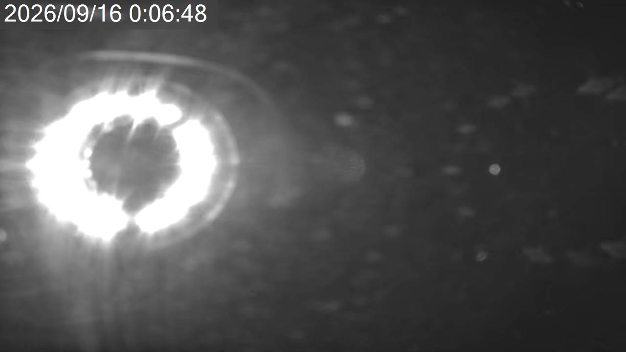 Pilatus Southern Alps View · Tsuboniwa Station · 2,237m snow cam captured at 16 September 2026 at 12:59 am GMT+9