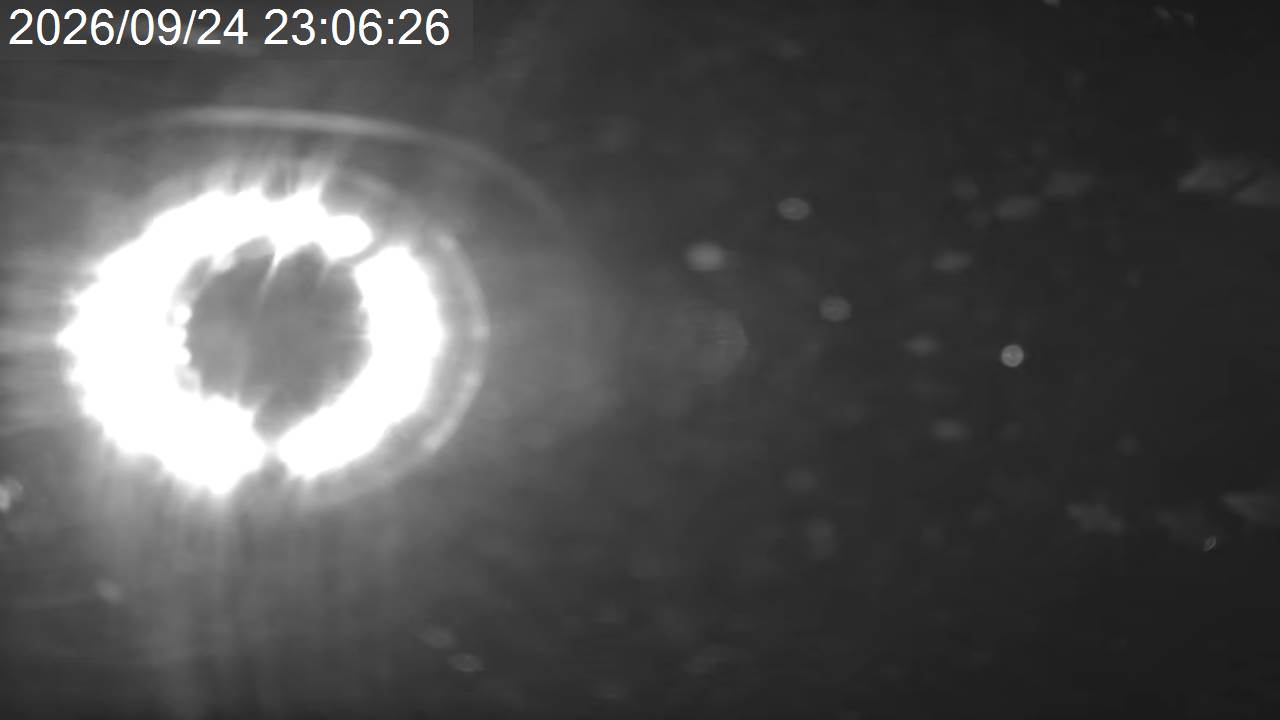 Pilatus Southern Alps View · Tsuboniwa Station · 2,237m snow cam captured at 24 September 2026 at 11:16 pm GMT+9