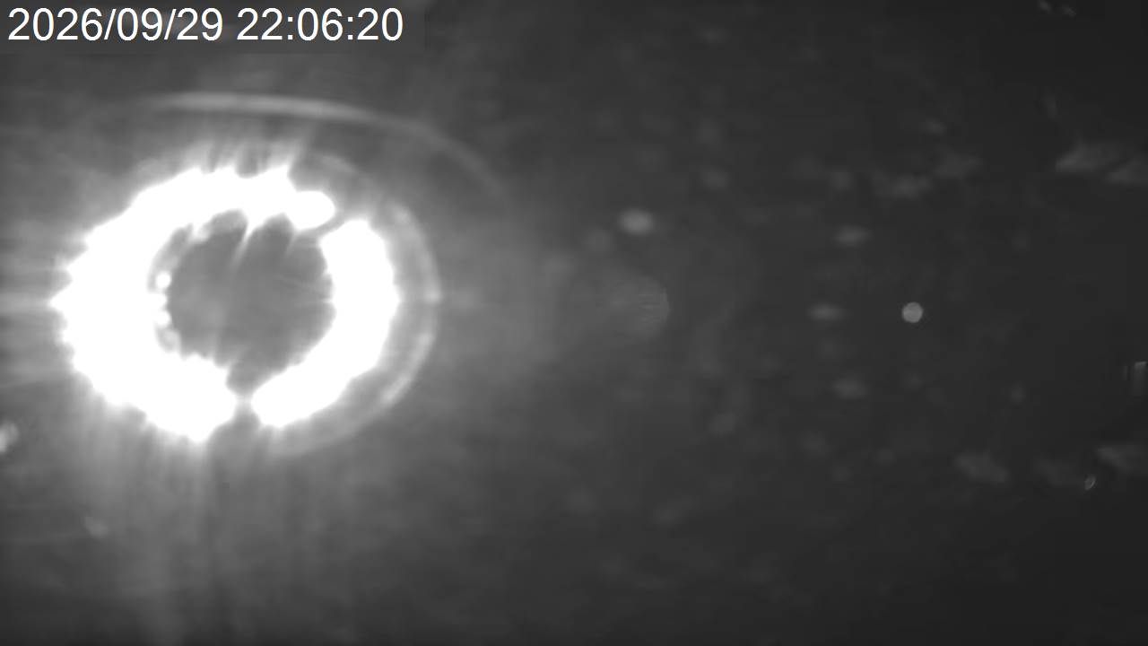 Pilatus Southern Alps View · Tsuboniwa Station · 2,237m snow cam captured at 29 September 2026 at 10:58 pm GMT+9