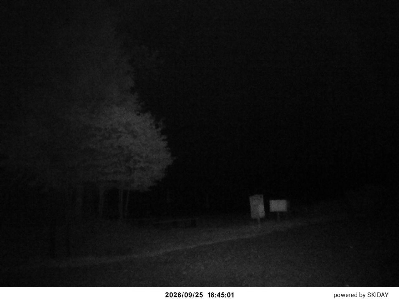 Shirakaba 2in1 Pleasure Course snow cam captured at 25 September 2026 at 7:37 pm GMT+9