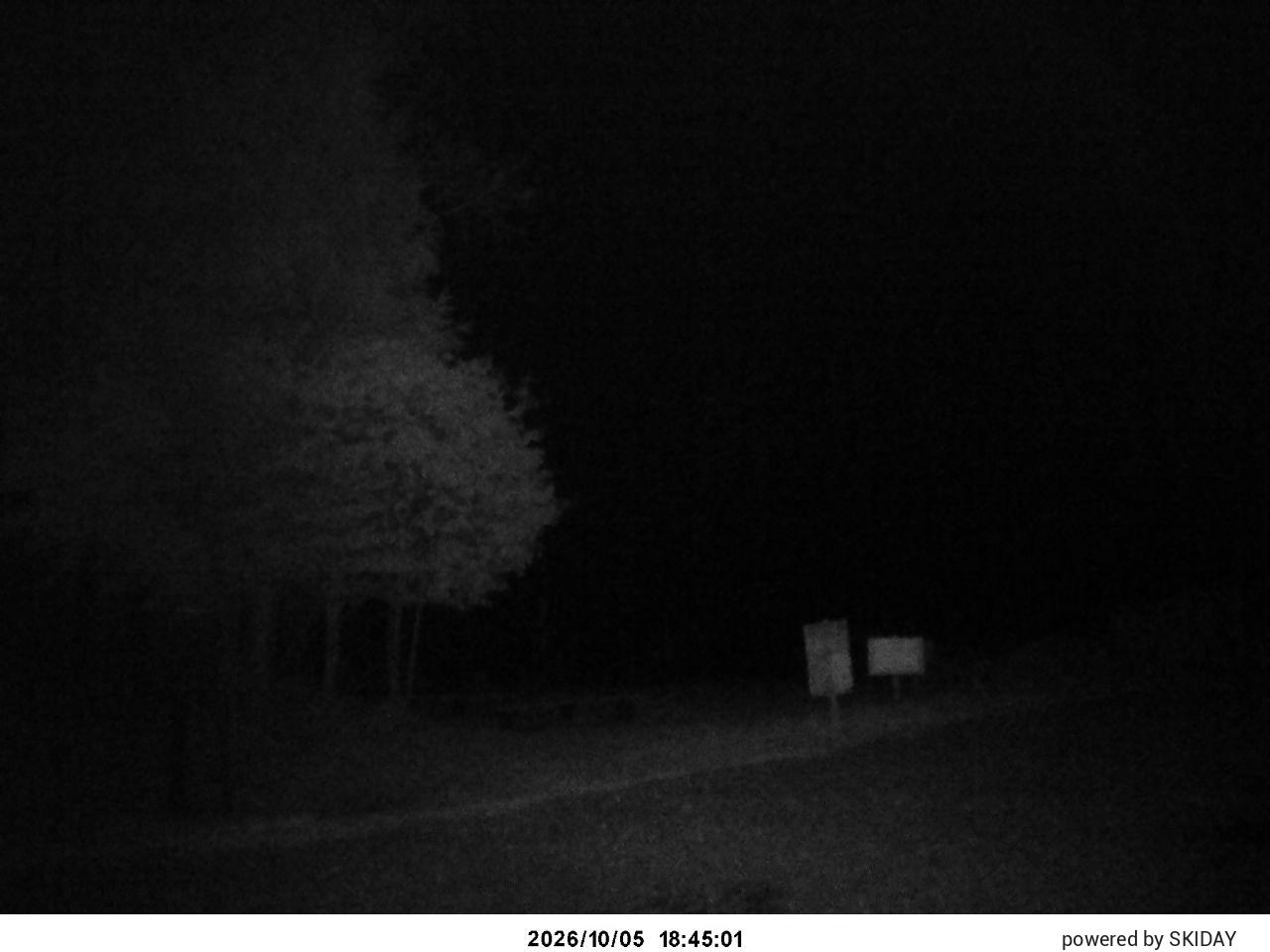 Shirakaba 2in1 Pleasure Course snow cam captured at 5 October 2026 at 7:38 pm GMT+9