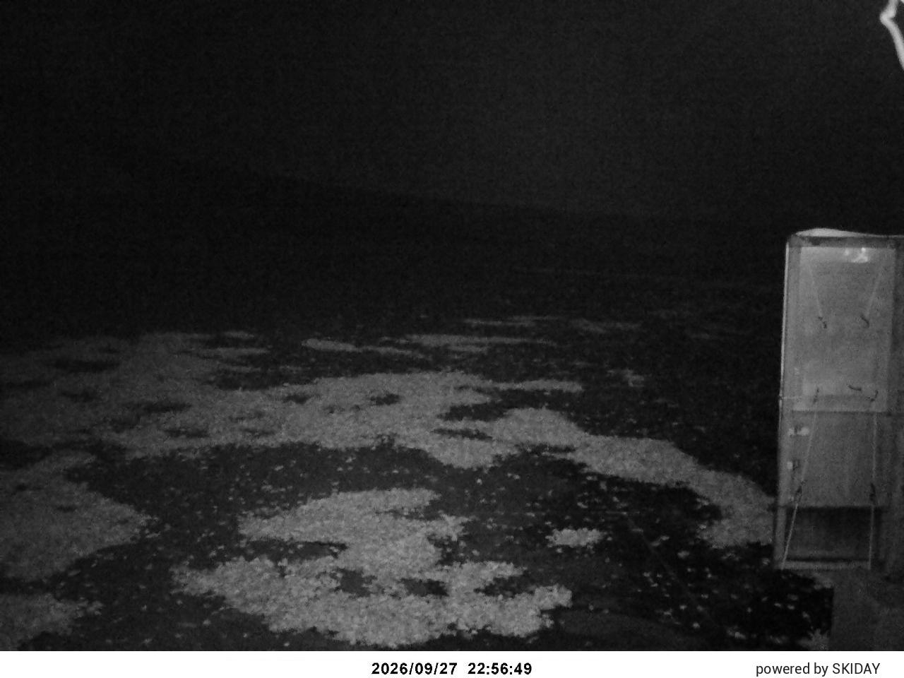 Tangram Cam 2 snow cam captured at 27 September 2026 at 11:39 pm GMT+9