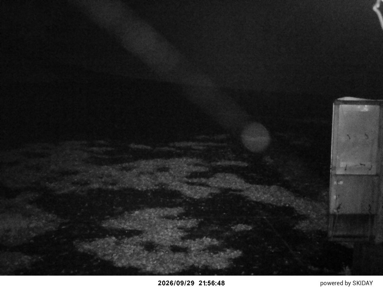 Tangram Cam 2 snow cam captured at 29 September 2026 at 10:59 pm GMT+9