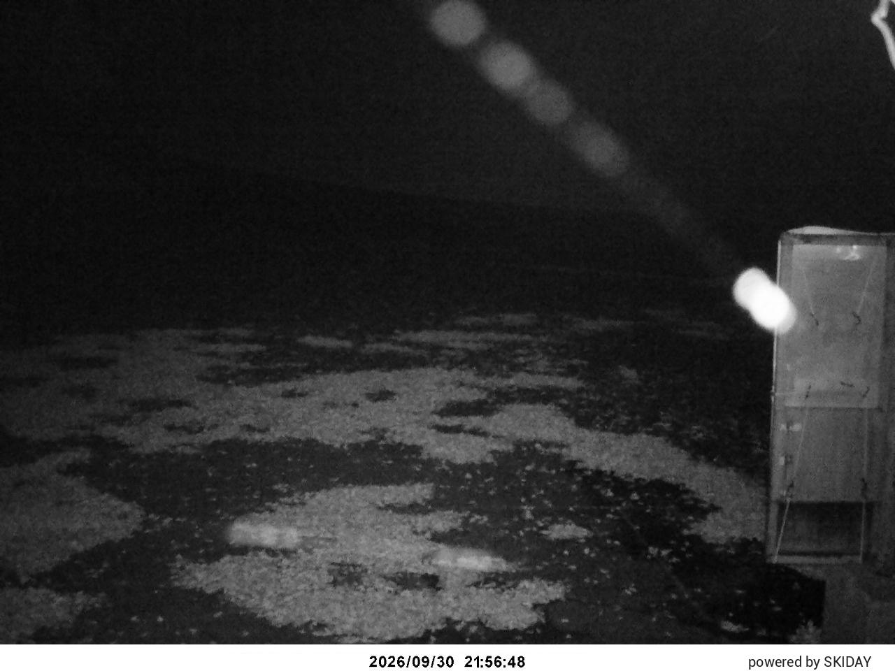 Tangram Cam 2 snow cam captured at 30 September 2026 at 11:00 pm GMT+9