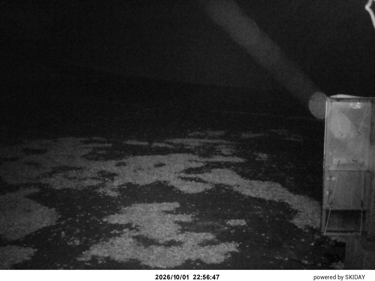 Tangram Cam 2 snow cam captured at 1 October 2026 at 11:31 pm GMT+9