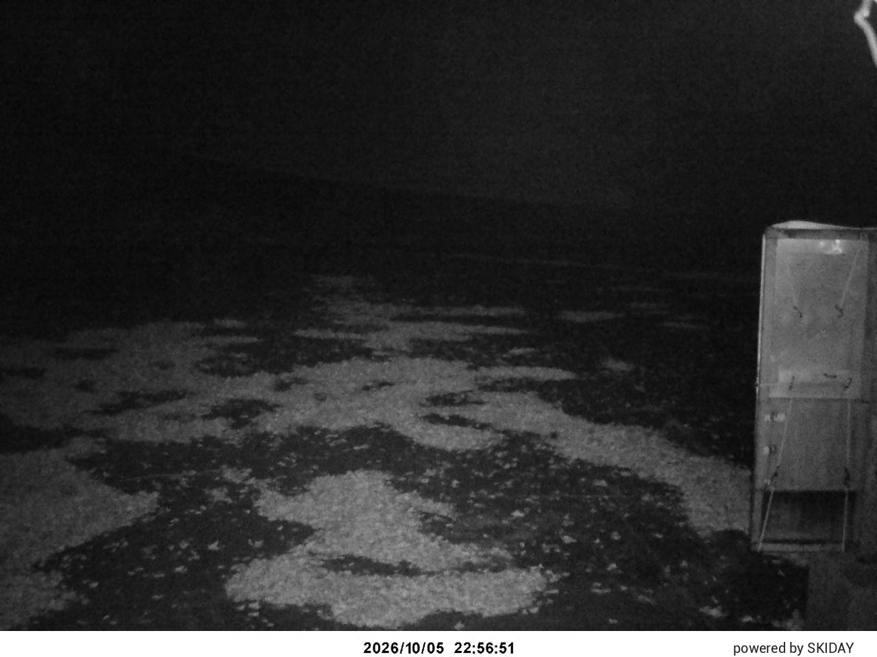 Tangram Cam 2 snow cam captured at 5 October 2026 at 11:46 pm GMT+9