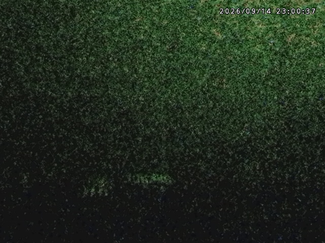 Tangram Tangram snow cam captured at 14 September 2026 at 11:37 pm GMT+9