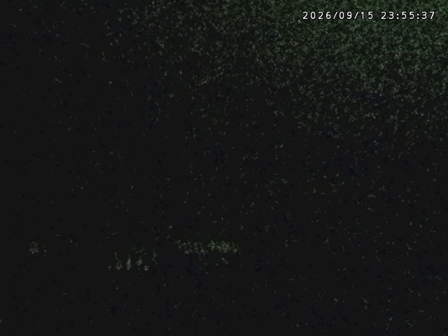 Tangram Tangram snow cam captured at 16 September 2026 at 1:02 am GMT+9