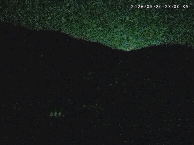 Tangram Tangram snow cam captured at 20 September 2026 at 11:22 pm GMT+9