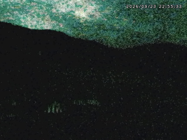 Tangram Tangram snow cam captured at 23 September 2026 at 11:34 pm GMT+9