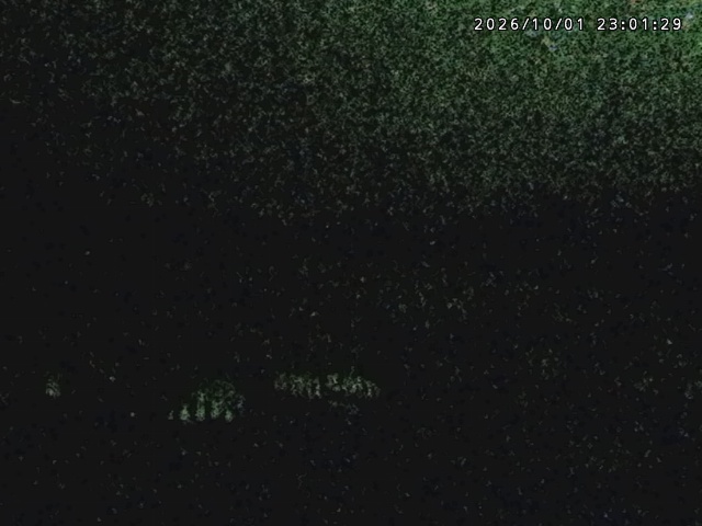 Tangram Tangram snow cam captured at 1 October 2026 at 11:31 pm GMT+9