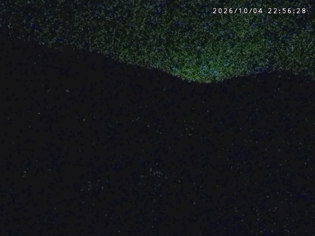 Tangram Tangram snow cam captured at 4 October 2026 at 11:13 pm GMT+9