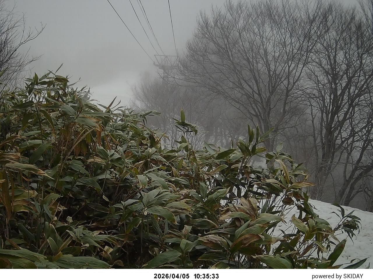 Tsugaike Kogen Upper Hannoki Slope · 1,540m snow cam captured at 10 September 2026 at 11:34 pm GMT+9