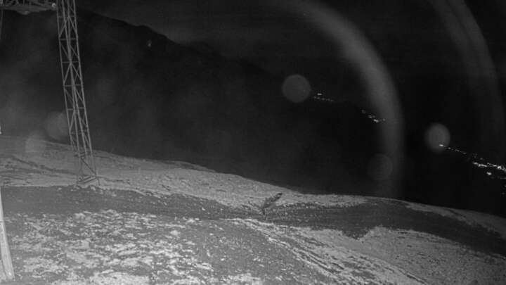 Wangs (Pizol) SAC Upper Station snow cam captured at 17 September 2026 at 10:14 pm GMT+2