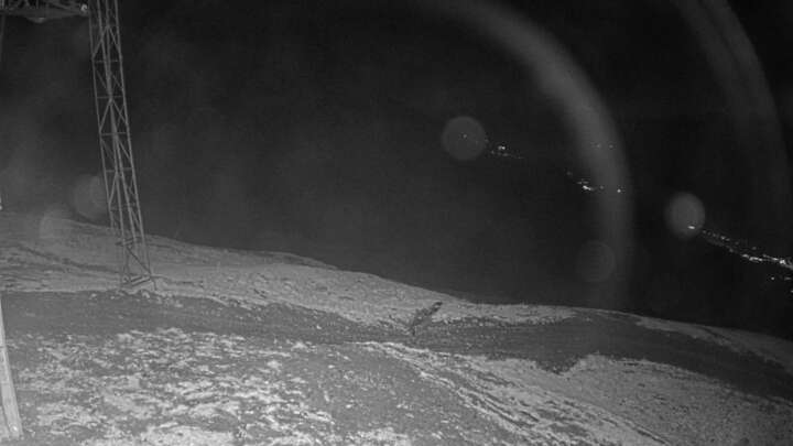 Wangs (Pizol) SAC Upper Station snow cam captured at 18 September 2026 at 10:14 pm GMT+2