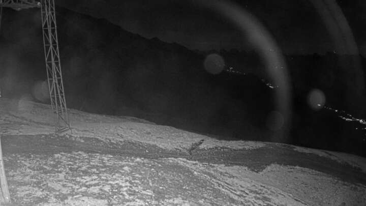 Wangs (Pizol) SAC Upper Station snow cam captured at 19 September 2026 at 10:07 pm GMT+2