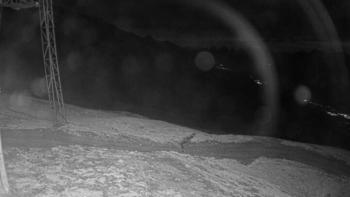 Wangs (Pizol) SAC Upper Station snow cam captured at 20 September 2026 at 10:05 pm GMT+2
