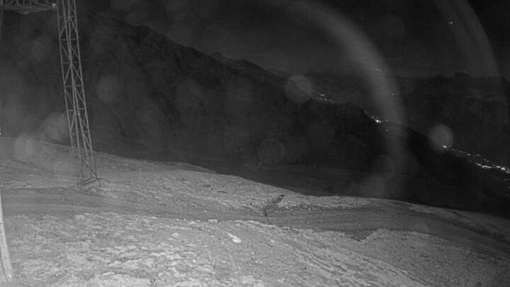 Wangs (Pizol) SAC Upper Station snow cam captured at 23 September 2026 at 10:03 pm GMT+2