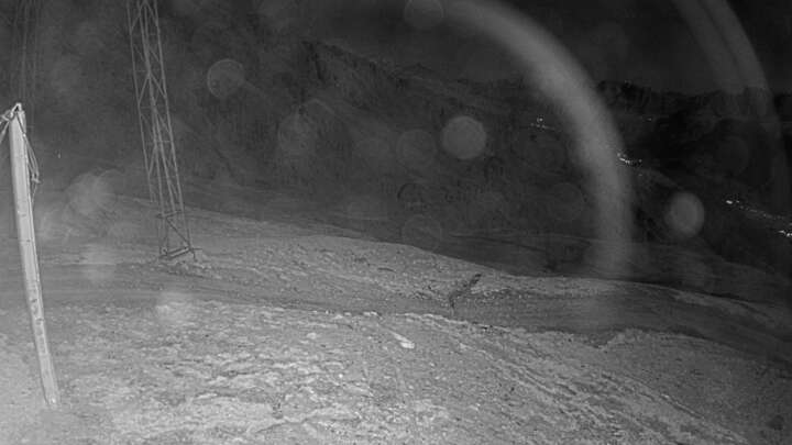 Wangs (Pizol) SAC Upper Station snow cam captured at 27 September 2026 at 10:10 pm GMT+2