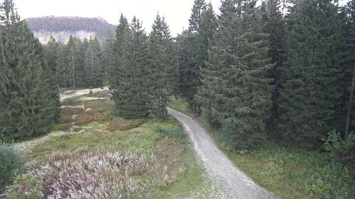 Bodenmais (Bayerischer Wald) Chamer Hütte snow cam captured at 18 September 2026 at 7:14 pm GMT+2