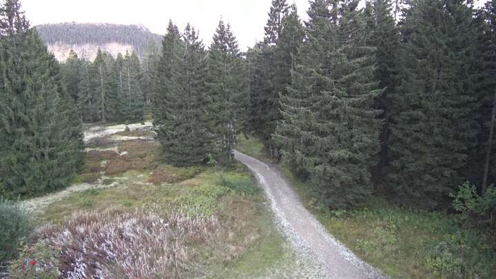 Bodenmais (Bayerischer Wald) Chamer Hütte snow cam captured at 23 September 2026 at 7:24 pm GMT+2