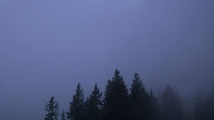 Alpbach Hornbahn 2000 Base Station snow cam captured at 24 September 2026 at 7:27 pm GMT+2