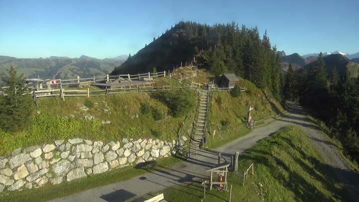 Westendorf archive representative frame captured at 16 September 2026 at 2:13 am AEST