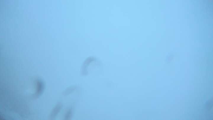 Hintertux (Zillertal) Gefrorene Wand snow cam captured at 24 September 2026 at 7:35 pm GMT+2