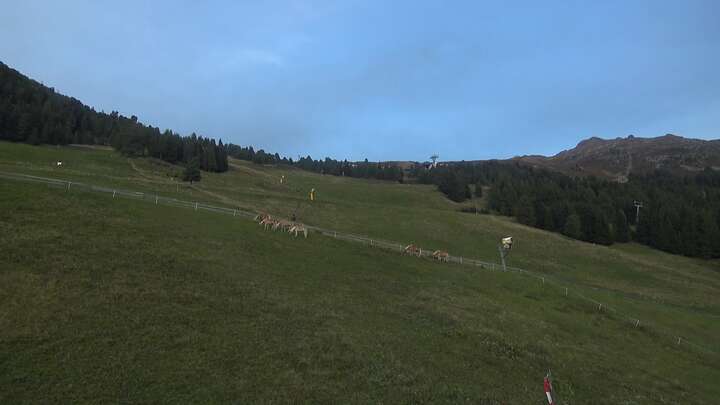 Jerzens (Hochzeiger) Panoramabahn Tal snow cam captured at 19 September 2026 at 7:18 pm GMT+2