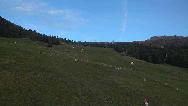 Jerzens (Hochzeiger) Panoramabahn Tal snow cam captured at 23 September 2026 at 7:21 pm GMT+2