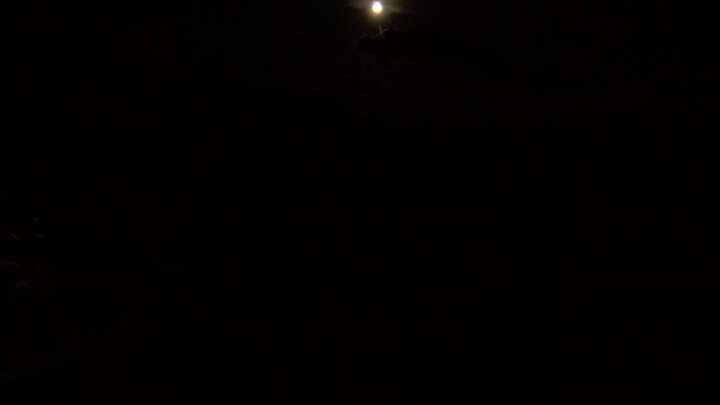 Oetz (Hochoetz) Widiversum Hochoetz snow cam captured at 20 September 2026 at 8:59 pm GMT+2