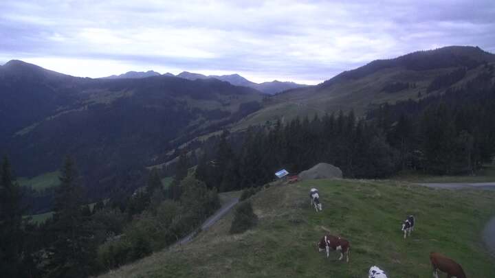 Wildschönau (Ski Juwel Alpbachtal Wildschönau) Markbachjoch snow cam captured at 13 September 2026 at 7:45 pm GMT+2