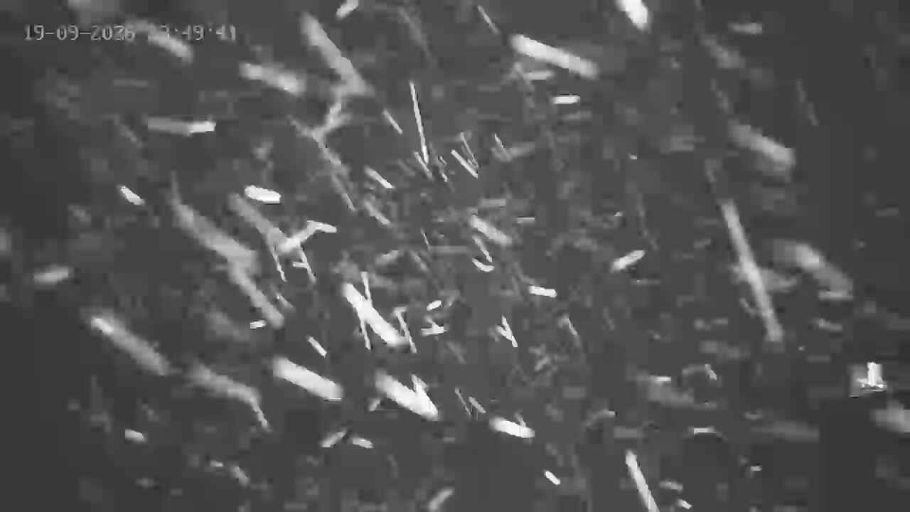Portillo Plateau snow cam captured at 19 September 2026 at 11:49 pm GMT-3