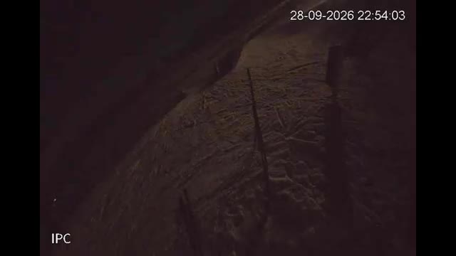 El Colorado Liebre Base snow cam captured at 28 September 2026 at 11:54 pm GMT-3