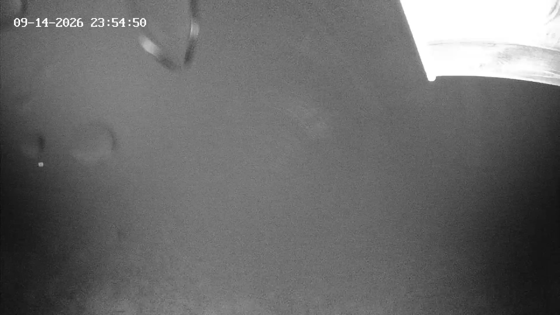 Revelstoke Top of the Stoke snow cam captured at 14 September 2026 at 11:57 pm GMT-7
