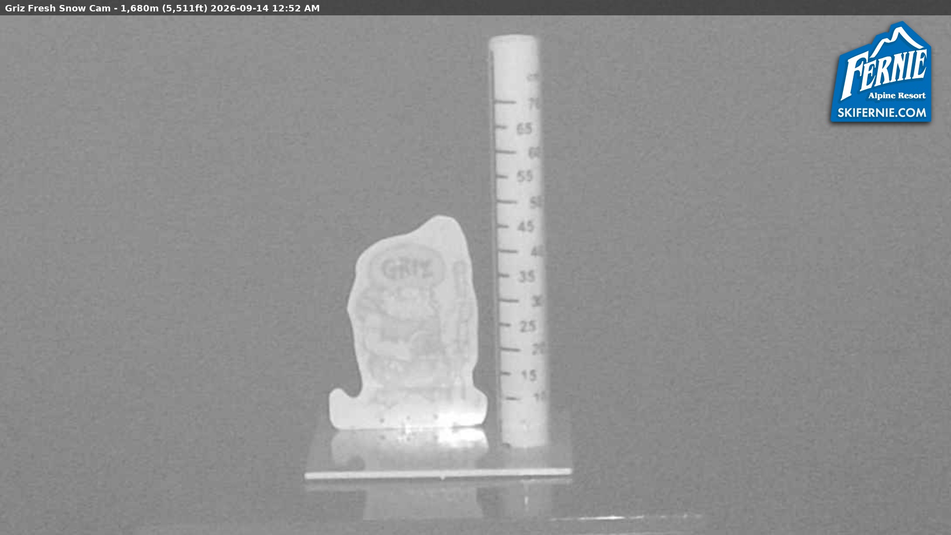 Fernie Griz Cam snow cam captured at 13 September 2026 at 11:58 pm GMT-7