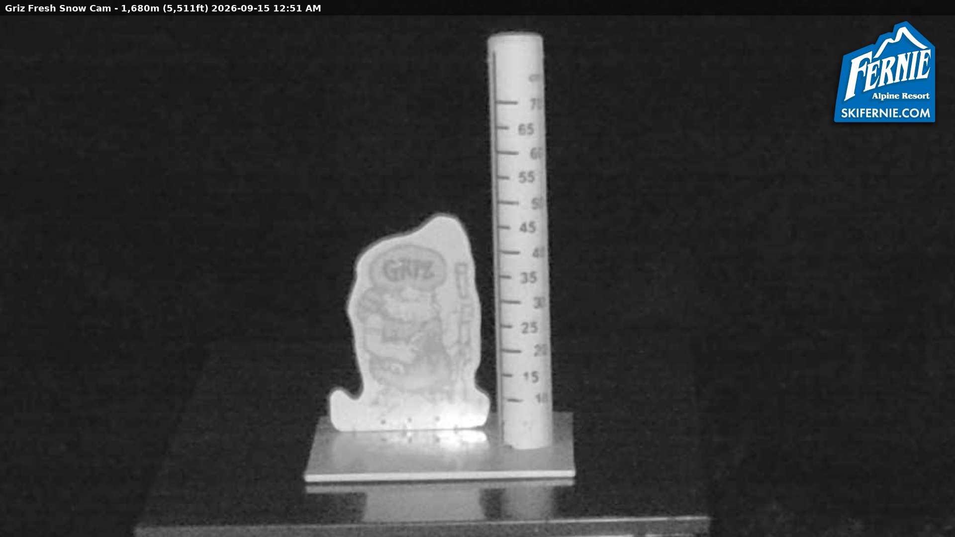 Fernie Griz Cam snow cam captured at 14 September 2026 at 11:53 pm GMT-7
