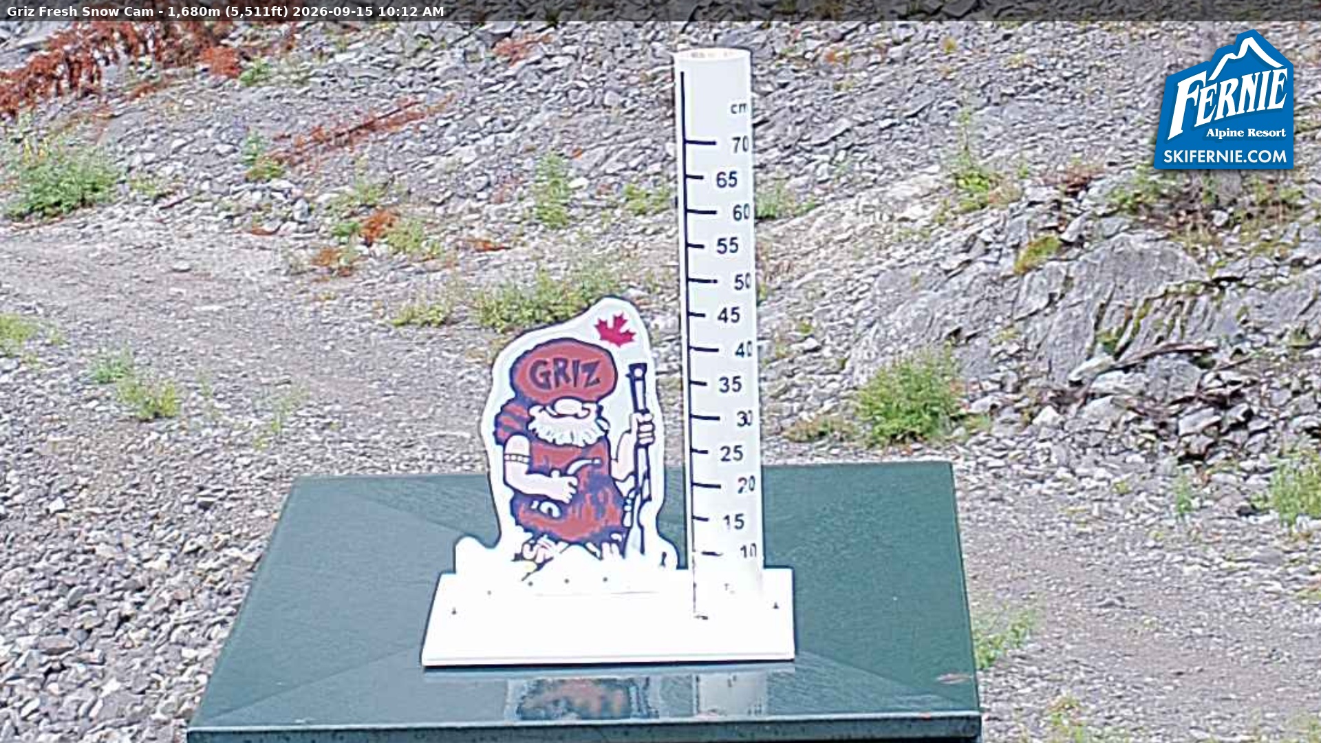 Fernie Griz Cam snow cam captured at 15 September 2026 at 9:14 am GMT-7