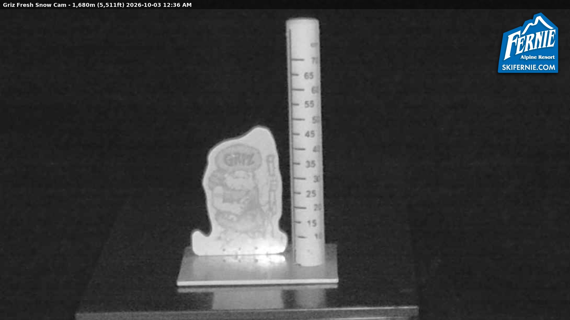 Fernie Griz Cam snow cam captured at 2 October 2026 at 11:39 pm GMT-7