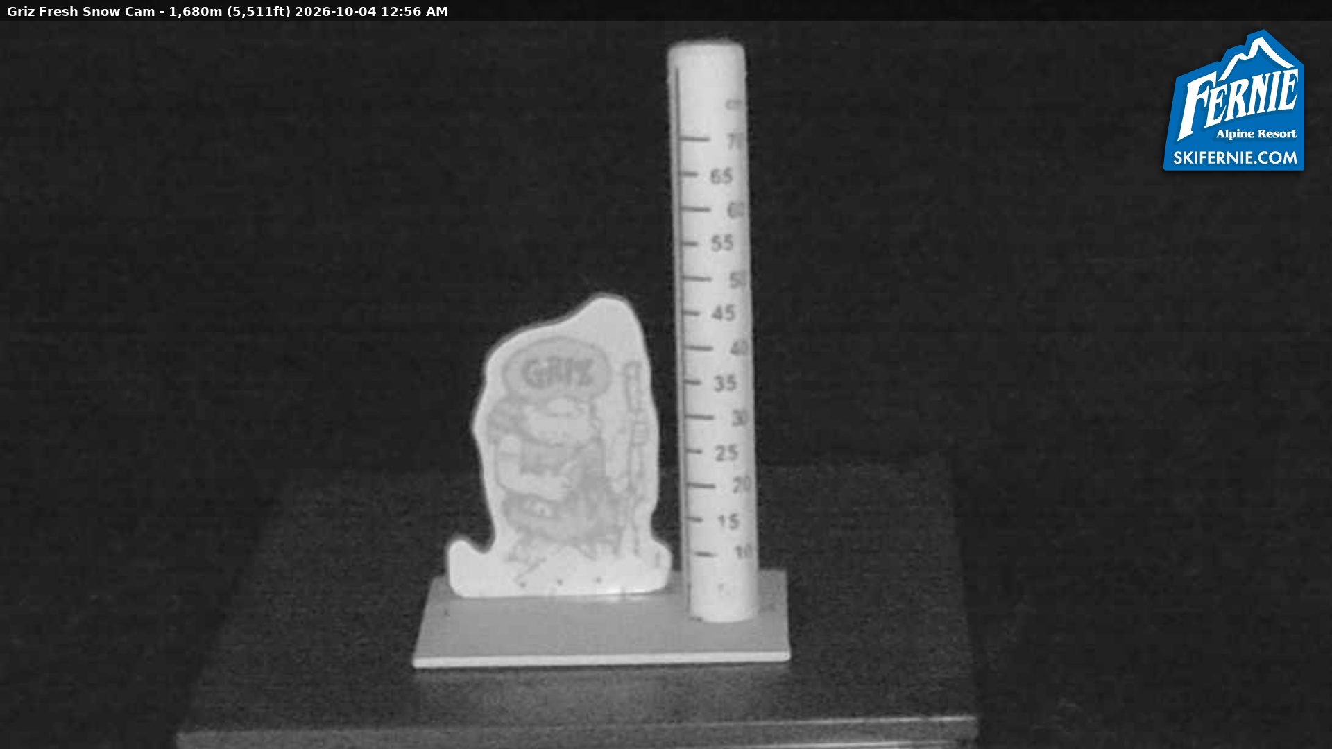 Fernie Griz Cam snow cam captured at 3 October 2026 at 11:58 pm GMT-7